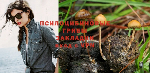 гашишное масло Ладушкин
