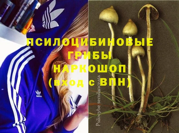 наркотики Кукмор