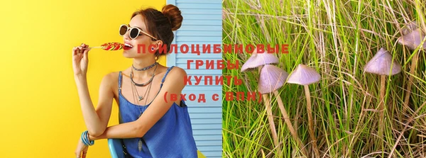 соль ск Куйбышев
